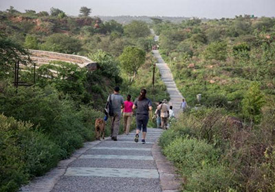 Aravali Biodiversity Park