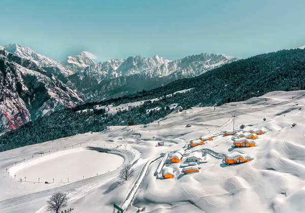 Auli