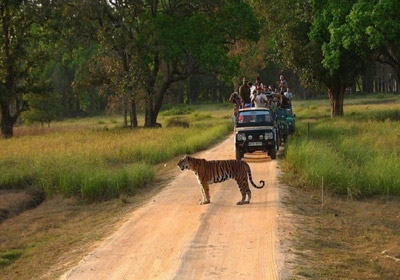 Bandhavgarh National Park