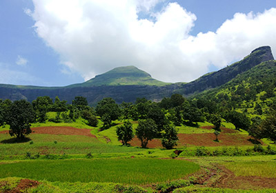 Brahmagiri Hill