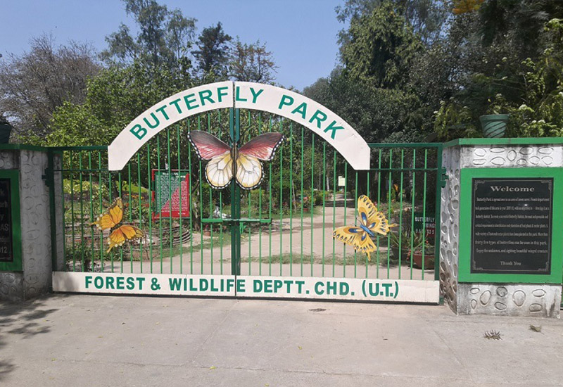 Butterfly Park
