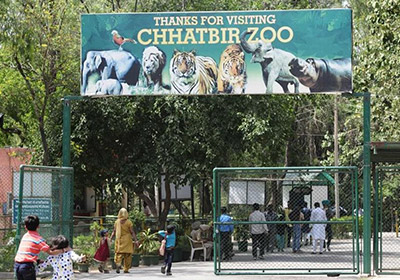 Chattbir Zoo