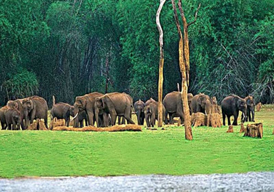 Chinnar Wild Life Sanctuary