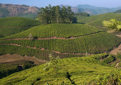 Chithirapuram