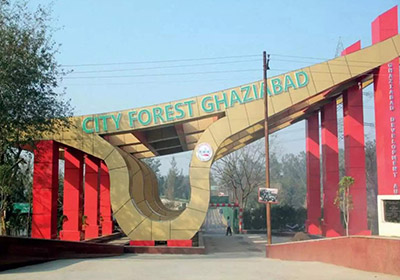 City Forest