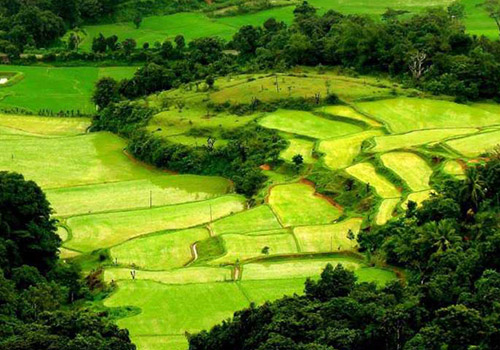 7 Places in India Drenched in Rainfall Bliss
