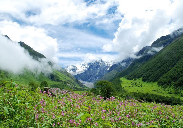 Dehradun