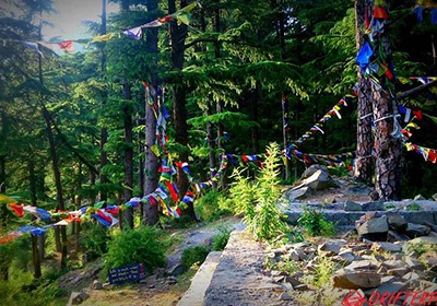 Dharamkot