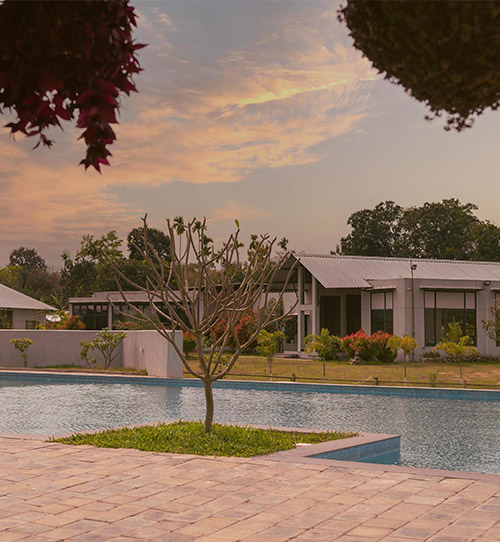 Foxtail Orchid Resort Kaziranga