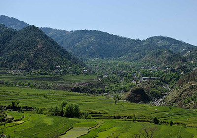 Ganji Pahadi, Bakrota