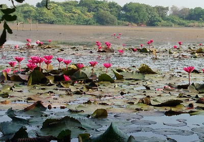 Gavier Lake