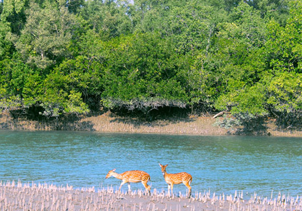 Halliday Island
