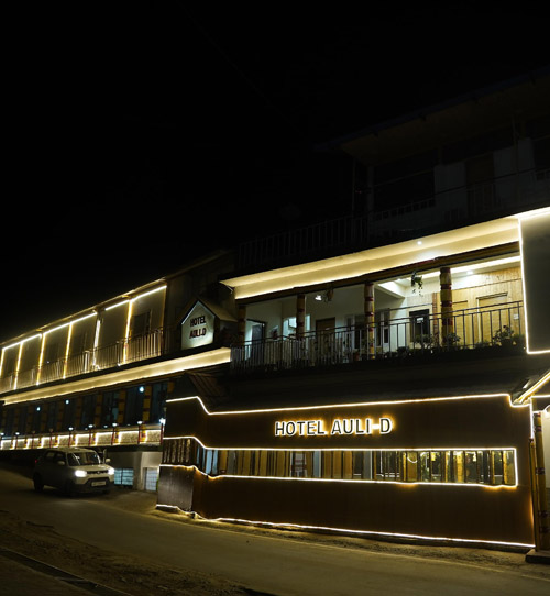 Hotel Auli D