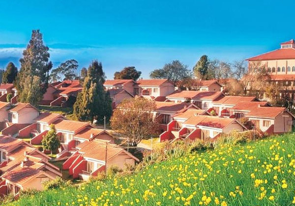 Tulips Valley View Resorts