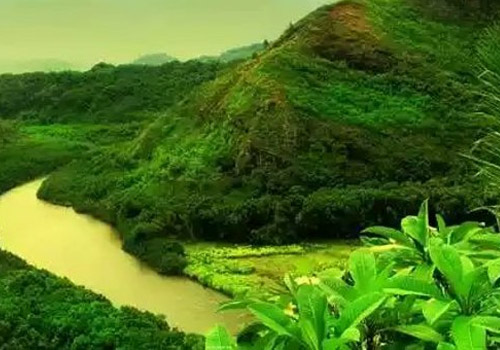Jaldhaka River Valley