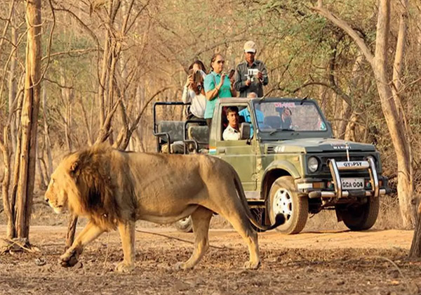 Junagadh Zoo