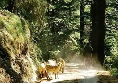 Kalatop Wildlife Sanctuary