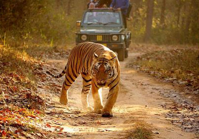 Kanha National Park