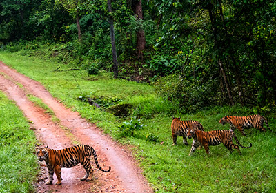 kanhanationalpark