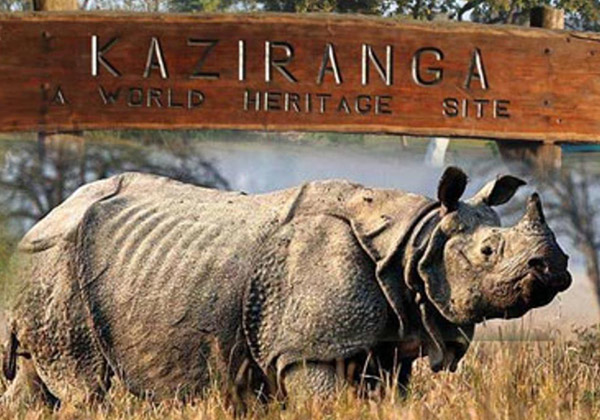 Kaziranga National Park, Kaziranga