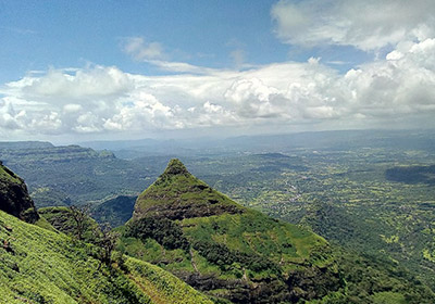 Lion's Point