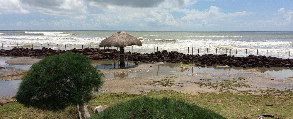 Mandarmani Beach