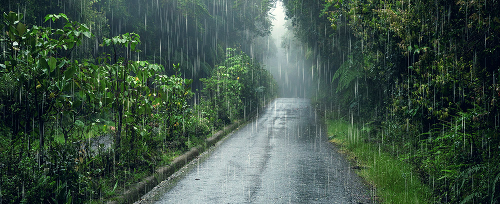 Embrace the Monsoon with Club Vacationz