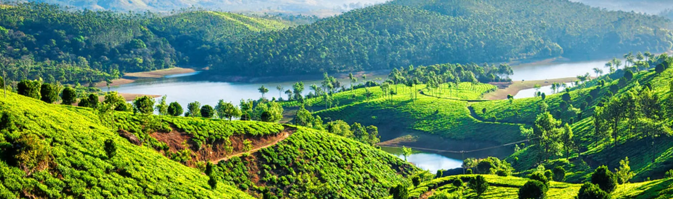 munnar