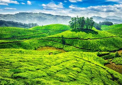 Munnar