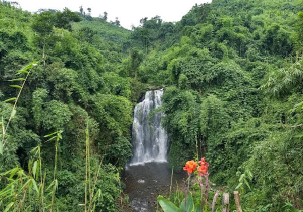 Panbari Reserve Forest