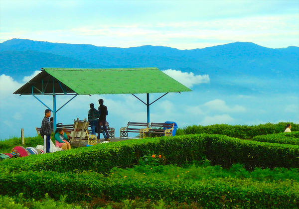 Pelling