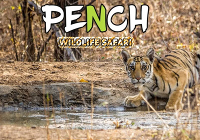 Pench National Park