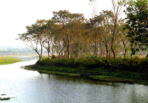 Piyali, Sundarbans
