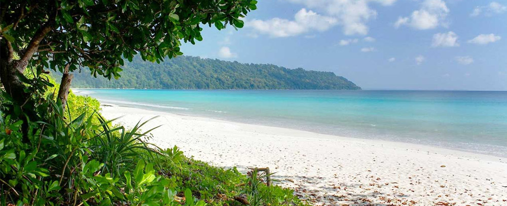 Radhanagar Beach