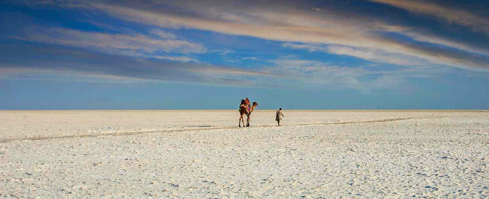 Rann of Kutch – A Unique White Desert Experience