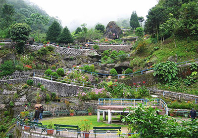 Rock Garden