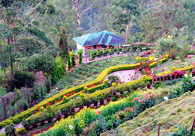 Rose Gardens