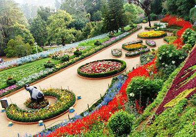 Rose Garden