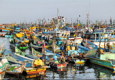 Royapuram Fishing Harbour