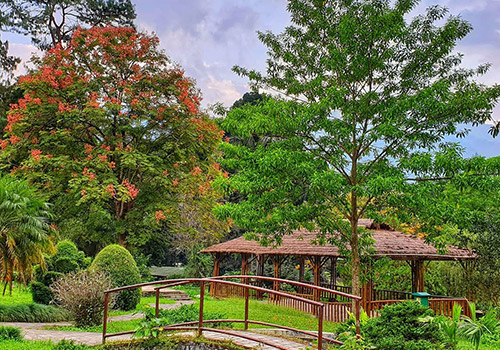 Saramsa Garden