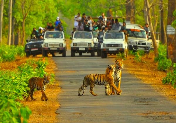 sariska
