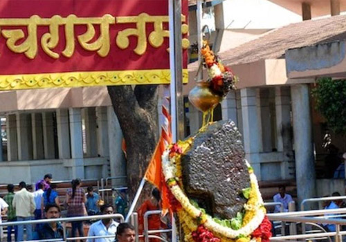 7 Places in India Drenched in Rainfall Bliss