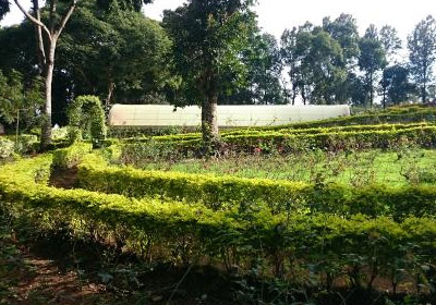 Silk Farm
