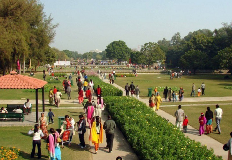 Terraced garden