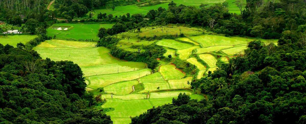 Discover the Tranquility of Coorg – The Scotland of India
