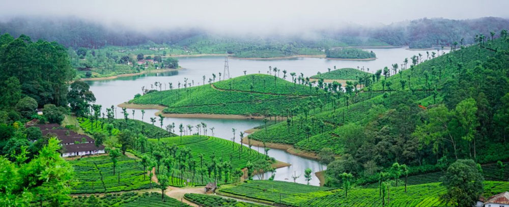 Valparai - A Rainfall Symphony in Tamil Nadu