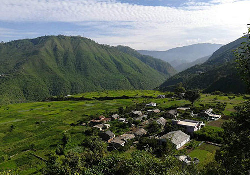 Village Lohali