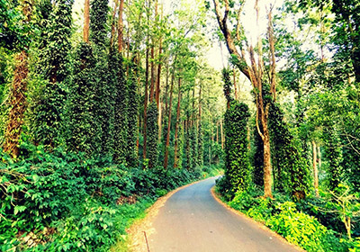Yercaud