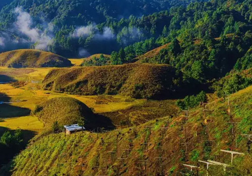 7 Places in India Drenched in Rainfall Bliss