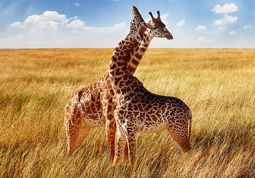 Top 10 Places to Visit in November